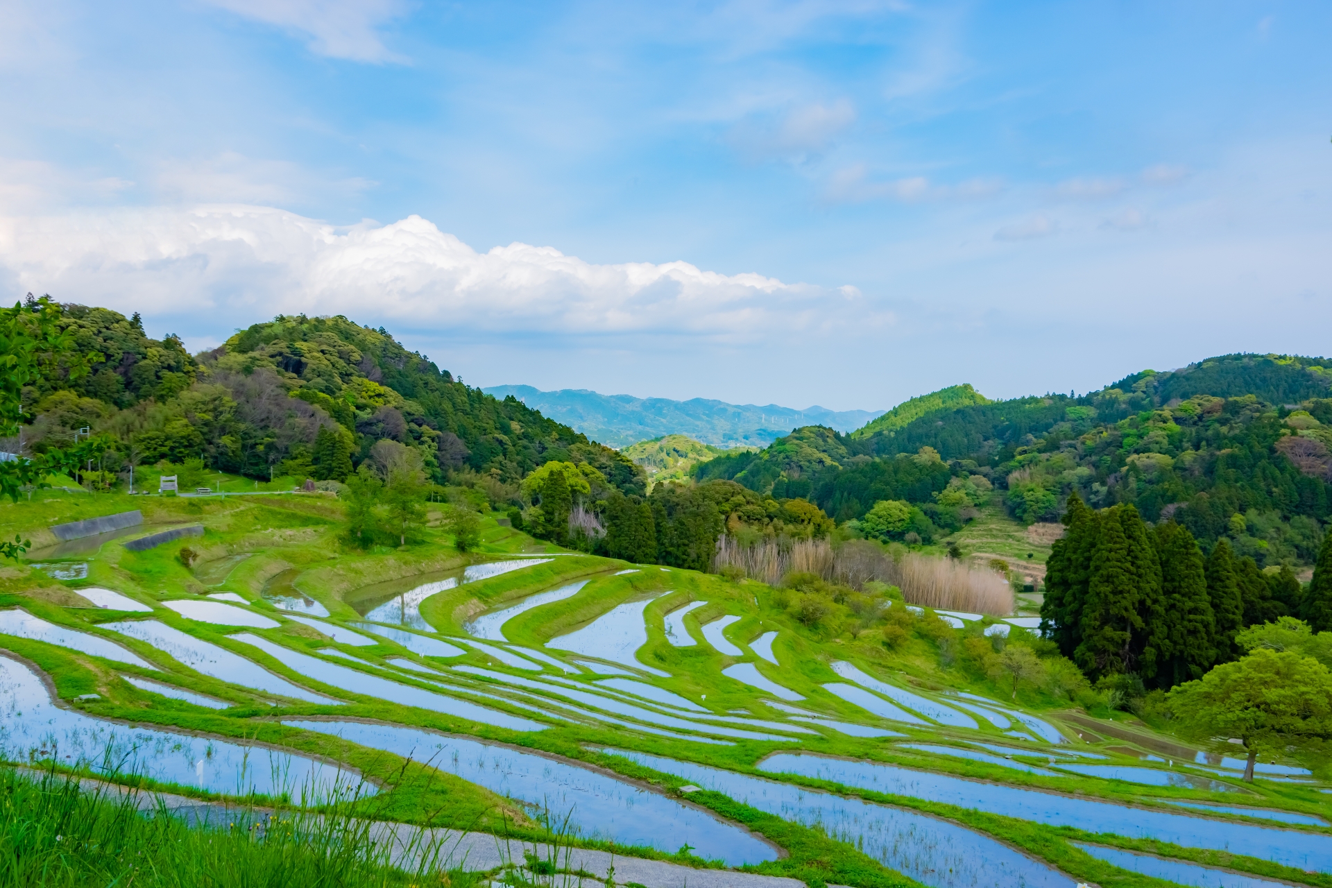 田舎の田んぼ